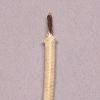 Wire, 16 AWG, MG, Nickel, 450�C, 600V